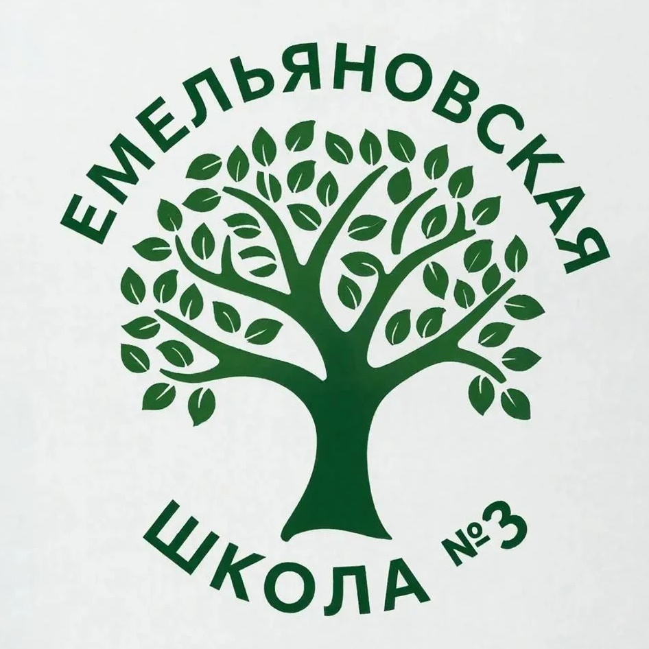 МБОУ Емельяновская СОШ №3