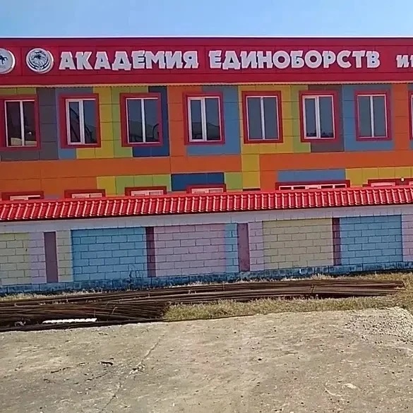 МБУ ДО "Академия Единоборств"