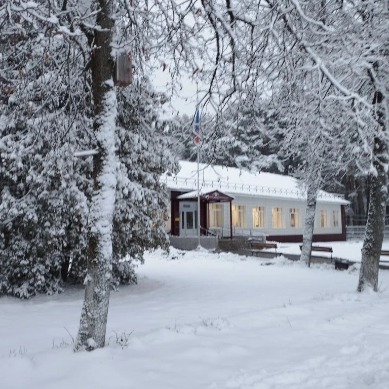 ННН (наши нетьинские новости)