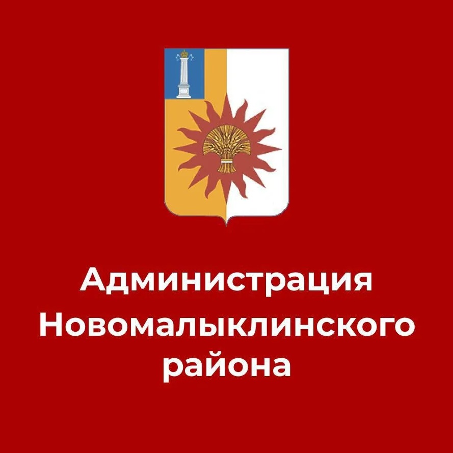 Новомалыклинский район