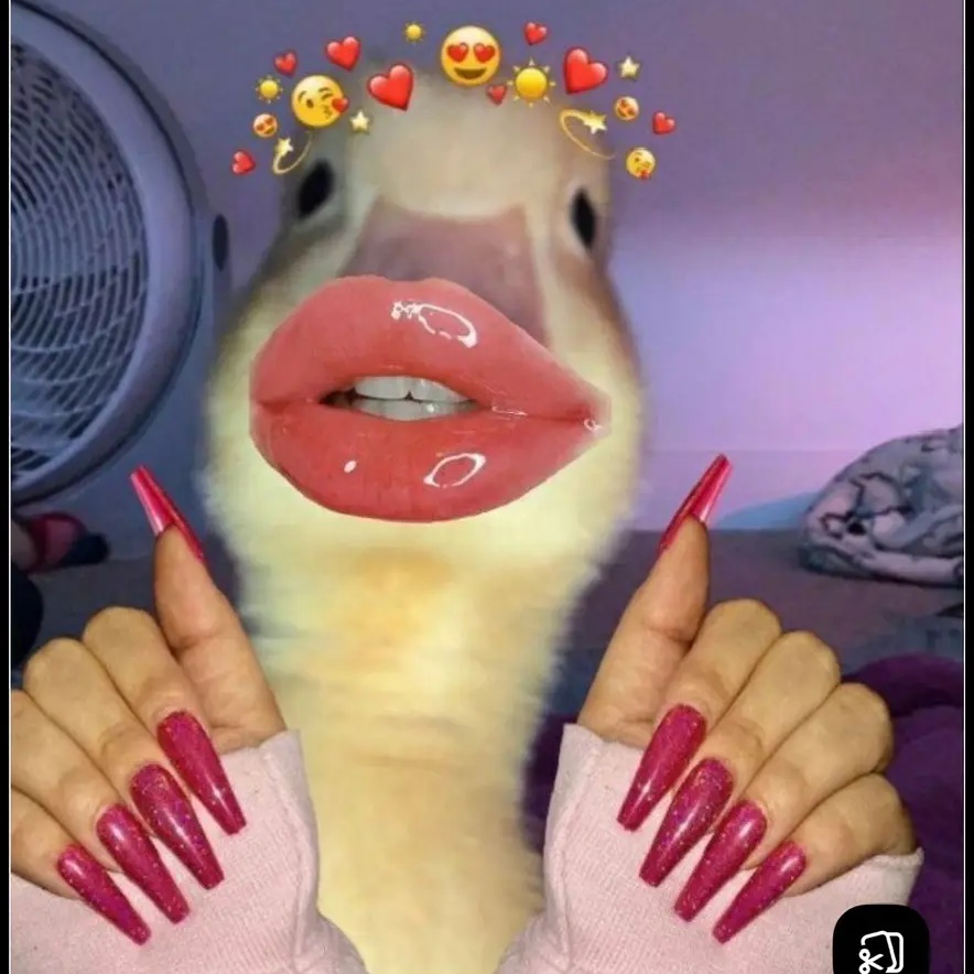 MEMES GIRLS💋