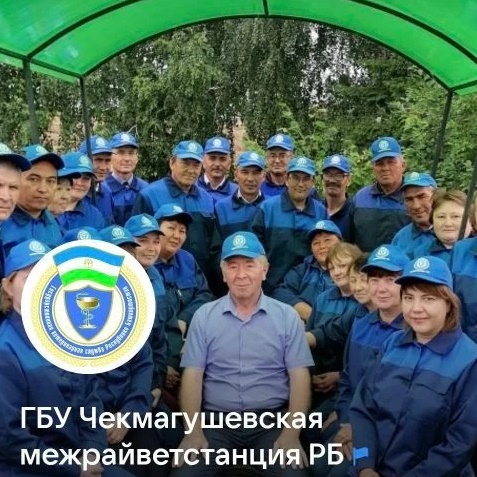ГБУ Чекмагушевская МРВС РБ