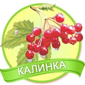 ДОУ 33 "Калинка"