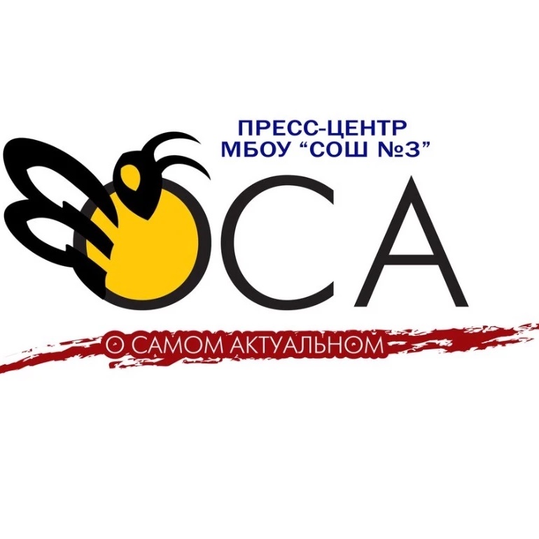 МБОУ «СОШ 3» г. Троицк Челябинской области