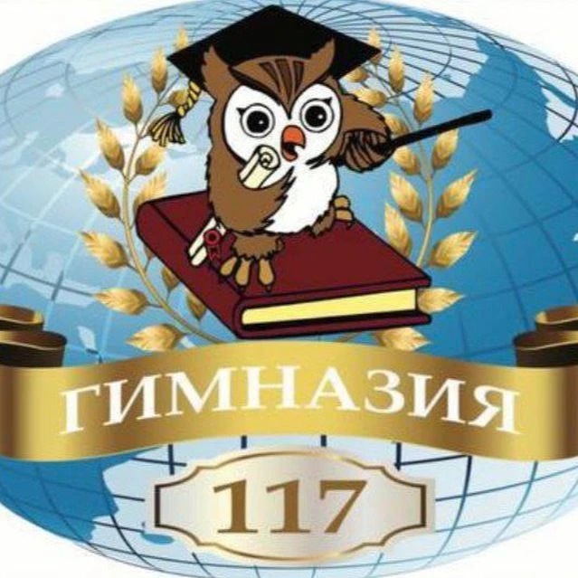 МБОУ "Гимназия №117"