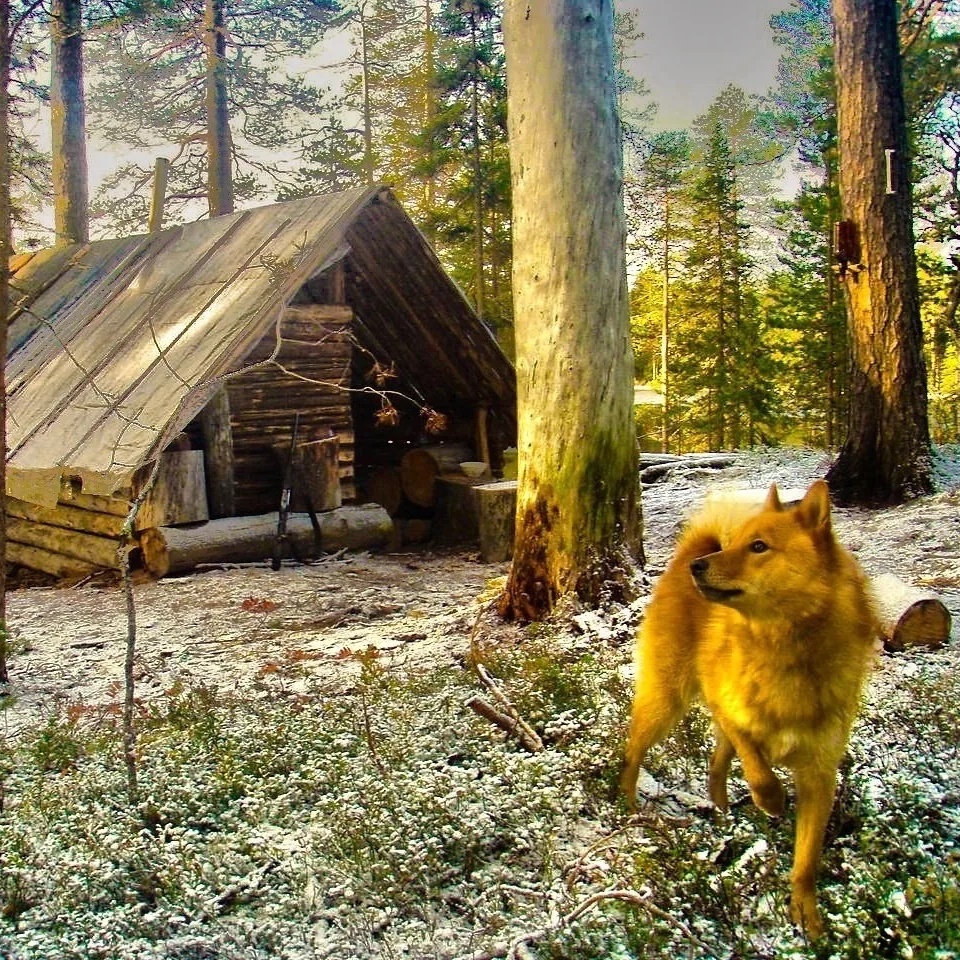 Охотники и рыболовы | Таёжная романтика ®