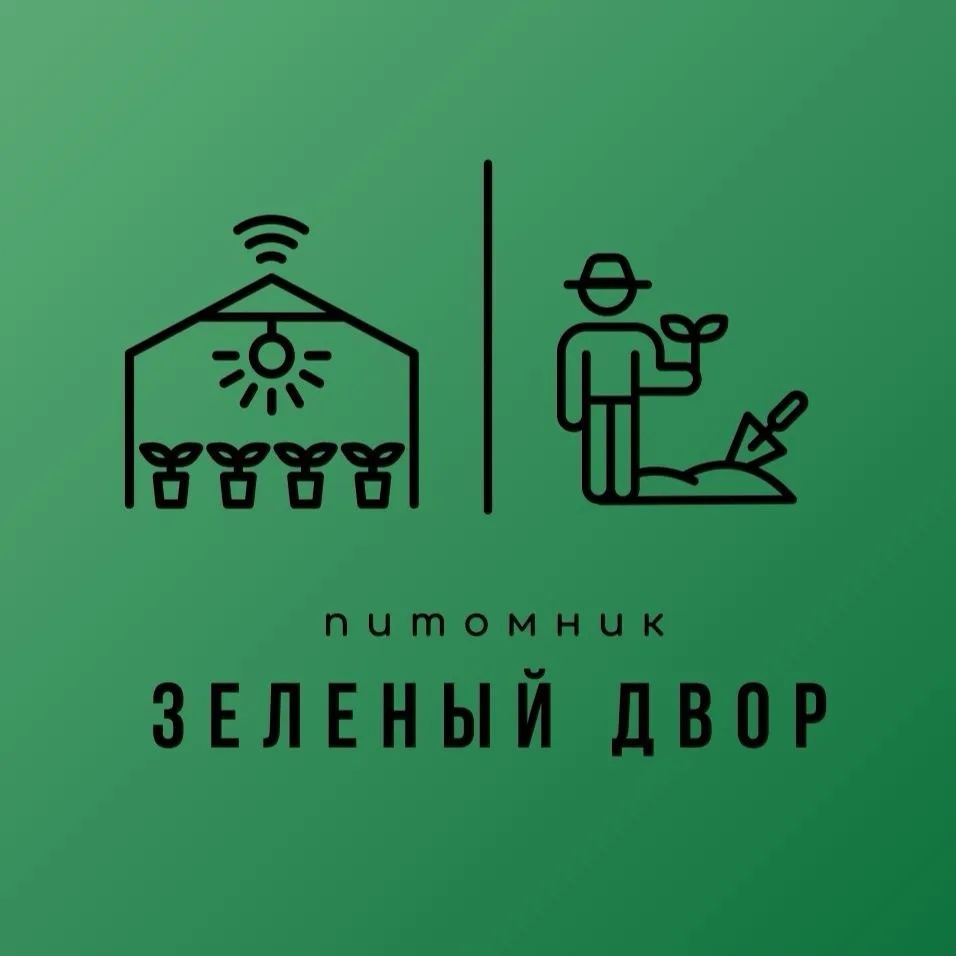 ЗЕЛЁНЫЙ ДВОР