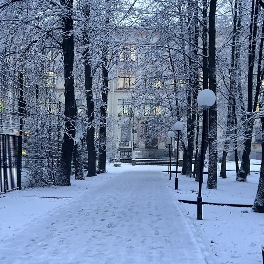 ГБОУ Гимназия №67 Петроградского района Санкт-Петербурга
