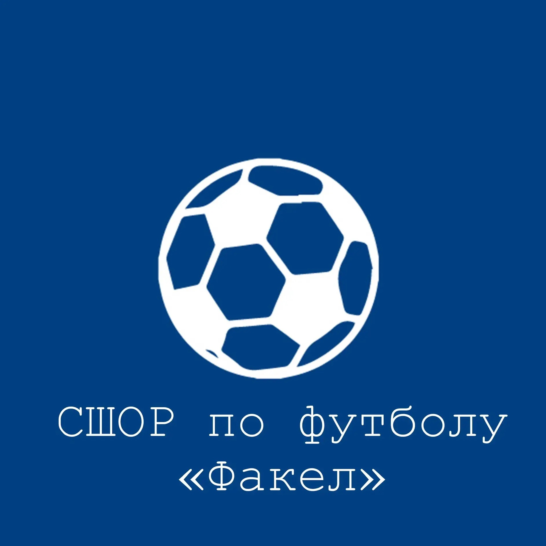 Спортивная школа по футболу «Факел»