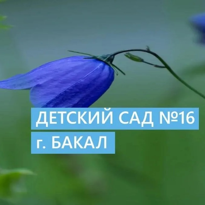 МКДОУ "Д/С 16" Саткинский МО